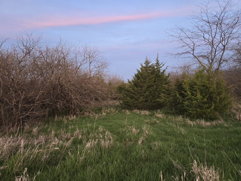 Listing photo 63